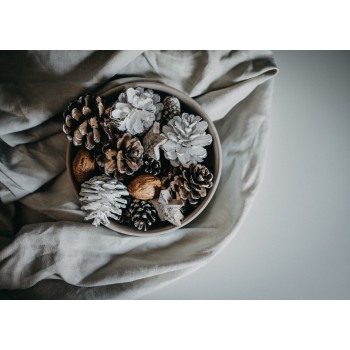 LIGHT GRAY BED LINEN SET (2 pillowcases, bed sheet, duvet cover) LIGHT GRAY BED LINEN SET (2 pillowcases, bed sheet, duvet cover)